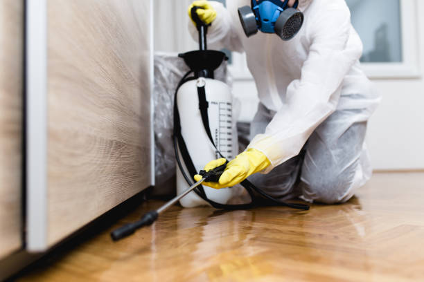 Best Pest Control for Restaurants  in Hebron, IL
