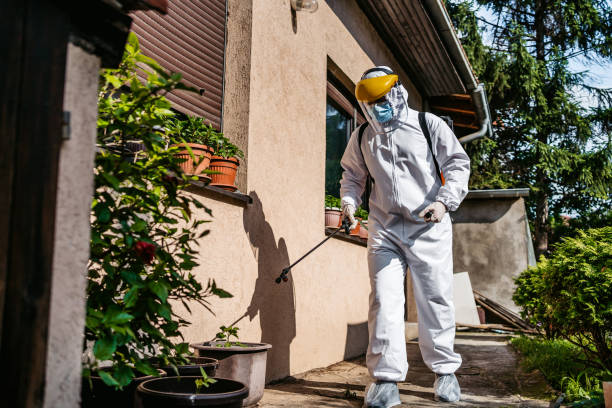 Trusted Hebron, IL Pest Control Experts