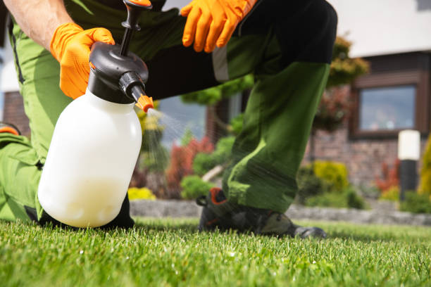 Best Wildlife Control Services  in Hebron, IL
