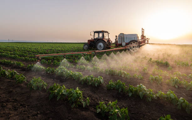 Pest Control for Restaurants in Hebron, IL