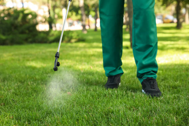 Best Insect Control  in Hebron, IL