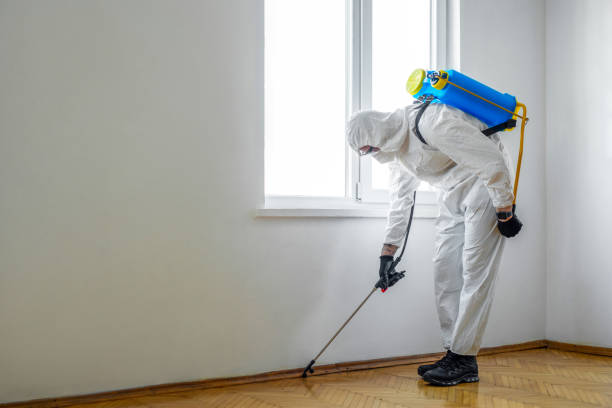 Best Cockroach Control Services  in Hebron, IL