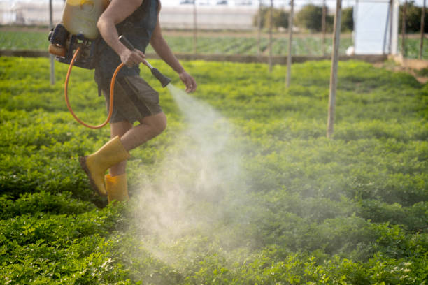 Best Best Pest Control Companies  in Hebron, IL