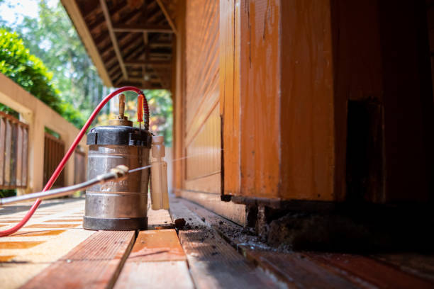 Best Ant Control Services  in Hebron, IL
