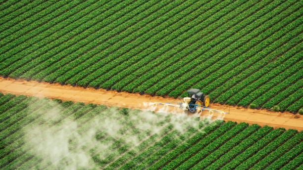 Best Local Pest Control Services  in Hebron, IL