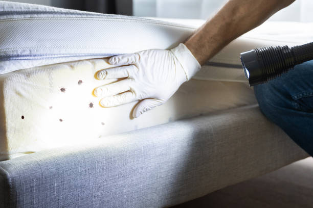 Best Flea Control Services  in Hebron, IL