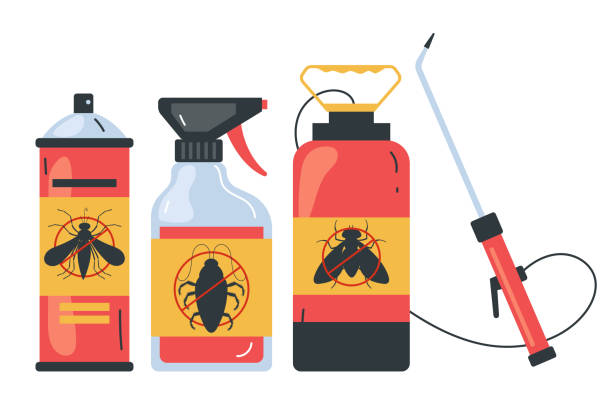 Best Termite Control Services  in Hebron, IL
