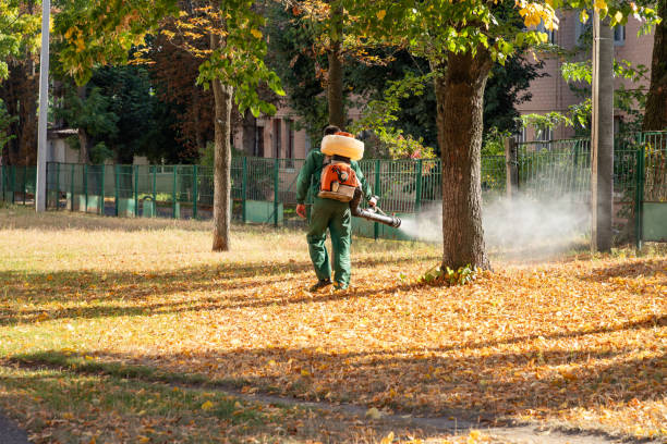 Best Rat Extermination Near Me  in Hebron, IL