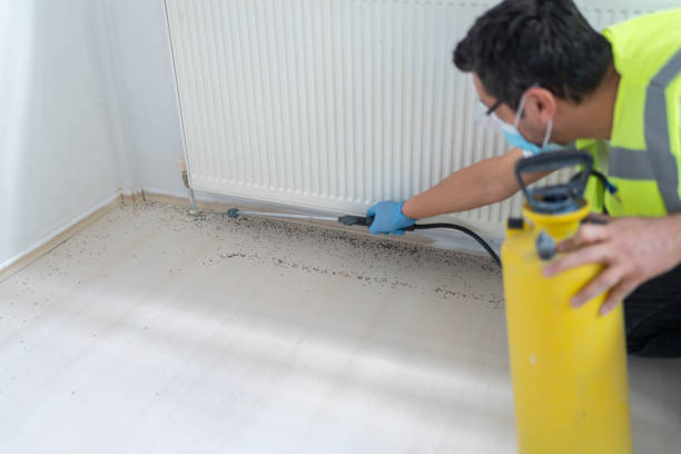 Best Pest Inspection Near Me  in Hebron, IL