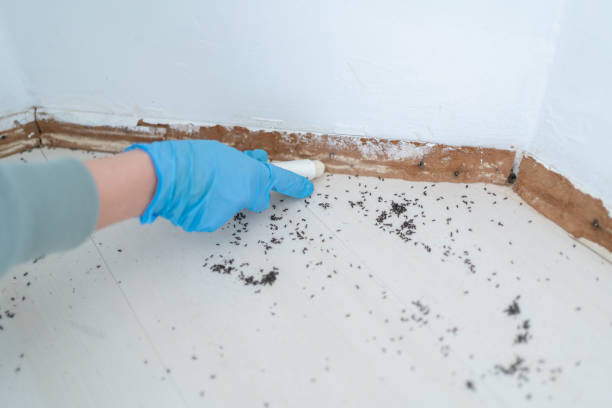 Best Residential Pest Control  in Hebron, IL